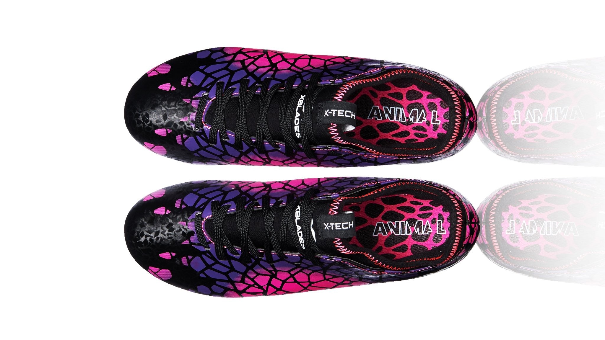 Black/Purple/Pink